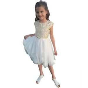 Jona Michelle Girls Hoilday / Flower Girl Gown Size 7